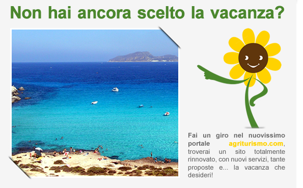 Non hai ancora scelto la vacanza?