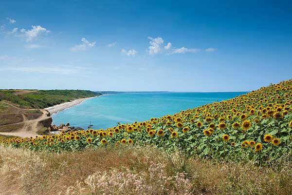 Mare Adriatico - Provincia di Pescara