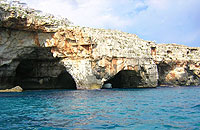 Vacanze in Puglia