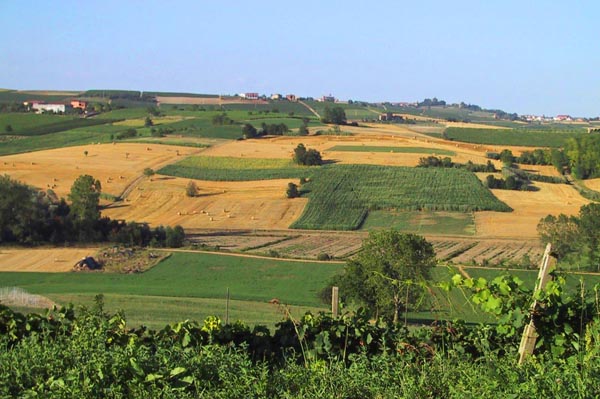 Vacanze in Piemonte - Agriturismo Piemonte, girovagando per il Piemonte: informazioni agroturistiche.