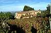 Agriturismo Fonte Martino