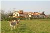 Agriturismo Cascina Foresto