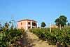 Agriturismo Agrimare Barba