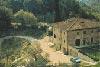 Agriturismo La Casa Vecchia