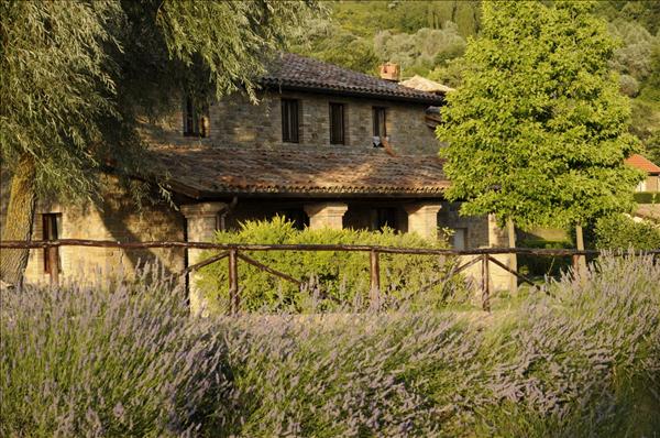 offerte speciali: Agriturismo Residenza di Campagna Le Case