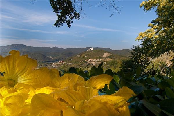 offerte speciali: Agriturismo La Ciriola