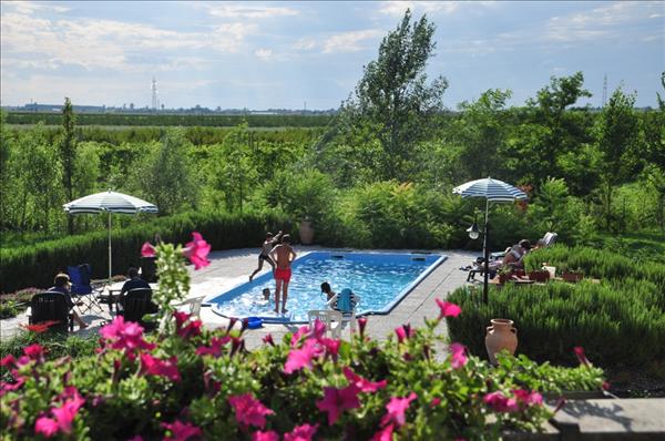 relax in piscina: Agriturismo Rovigo