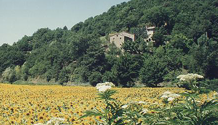 offerte speciali: Agriturismo Ca' de Carlicchi