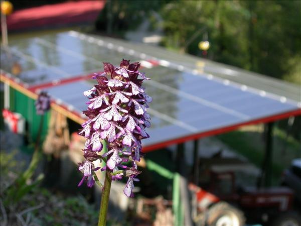 Impianto Fotovoltaico: Agriturismo Arezzo