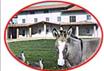 Agriturismo Cascina Calliera