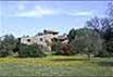B&B Podere le Pianacce