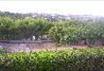 Casa Vacanze Villaggio del Comandante