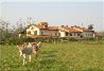 Agriturismo Cascina Foresto