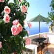 J. Holiday House