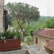 scorcio