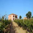 Agriturismo Agrimare Barba