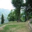 Agriturismo Attulaio