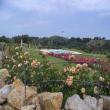 Agriturismo Colleoli