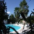 Agriturismo Demetra