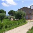 Casa Vacanze I due ulivi