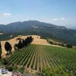 Agriturismo Fattoria di Titignano