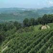 Agriturismo Filippi-Villa Visco