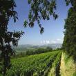 Agriturismo Filippi-Villa Visco
