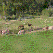 Il parco animali all'interno dell'azienda