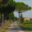 I Viali in azienda