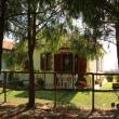 veranda vista pineta