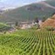 Agriturismo Tarantola