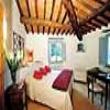 Agriturismo Il Pezzatino