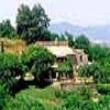 B&B Podere Porcino