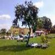 Agriturismo Cascina Boschi