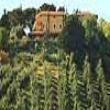 Agriturismo Casale di Colle