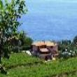 Agriturismo La Rocca
