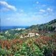 Country House Il Cascinale