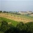 Agriturismo La Quercia del Saggio