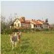 Agriturismo Cascina Foresto