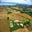 Agriturismo Le Ginestre