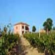 Agriturismo Agrimare Barba