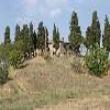 Agriturismo Le Vignacce