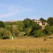 Agriturismo I Gergoni
