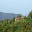 Agriturismo Il Poggio della Luna