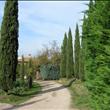 Viale d' ingresso