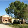 Terrazza e Pini 