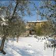 Neve 2012