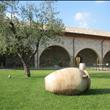 Il giardino