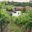L'agriturismo visto dalle vigne