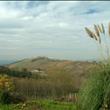 panoramica collina